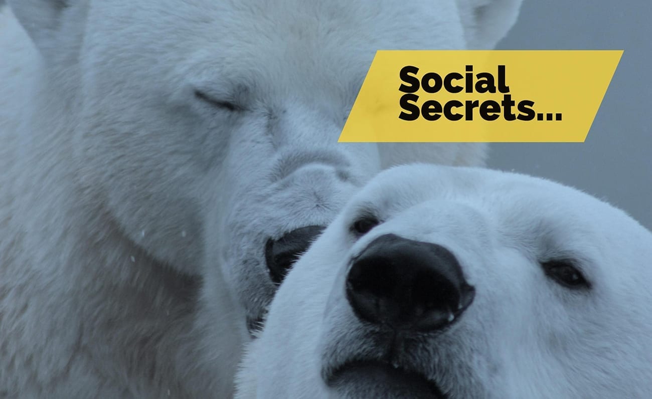 social secrets