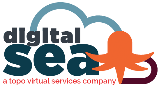 digital sea digital marketing services logo retina