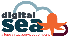 digital sea digital marketing services logo regular