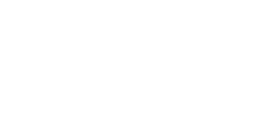 digital sea digital marketing services logo regular white