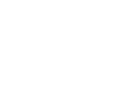 The-Root