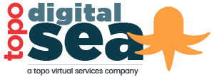 Digital Sea Digital Marketing