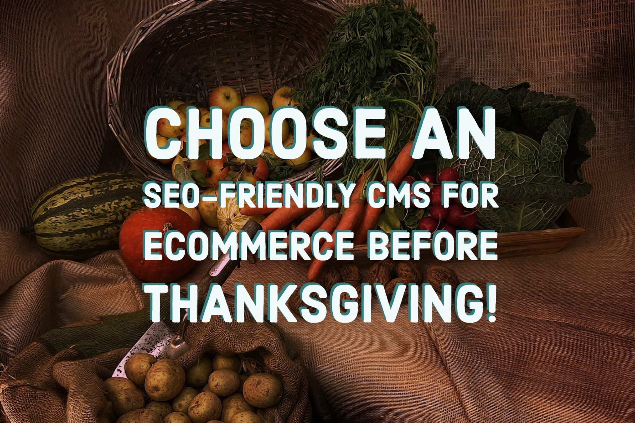 Choose an seo-friendly cms for ecommerce before Thanksgiving